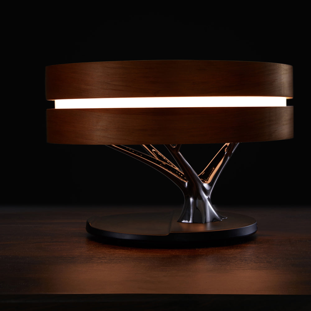 Smart Round Audio Bluetooth Speaker Night Light WiFi LED Ring Wireless Harlequin Iolaus