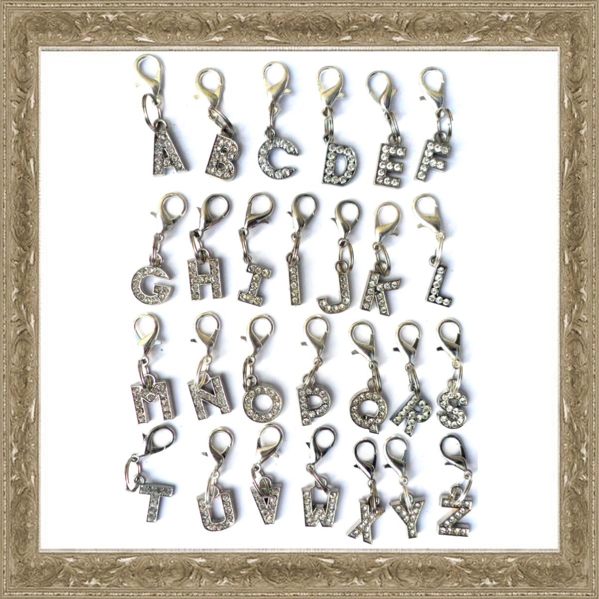 A-Z Crystal Letter Pet Charms Salmon Oscar